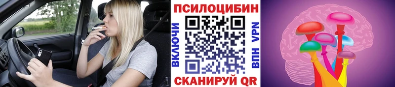 Псилоцибиновые грибы Magic Shrooms  как найти   Юрьев-Польский 